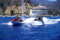 Adventurers enjoying a thrilling zipline ride over Catalina Island